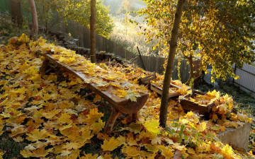 Картинка природа листья осень скамья