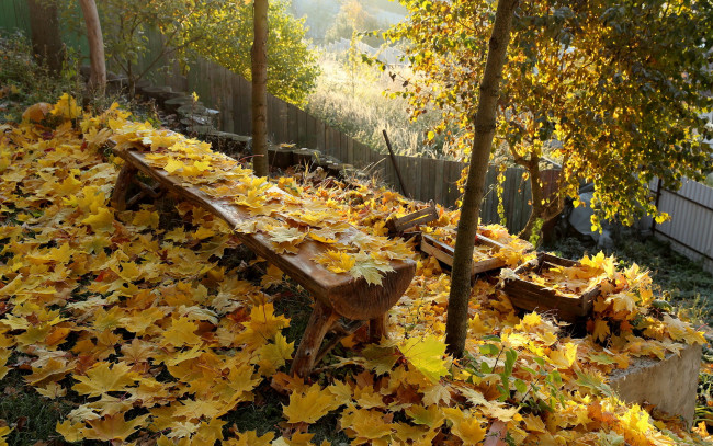 Обои картинки фото природа, листья, осень, скамья