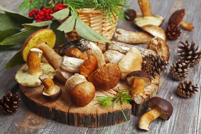 Обои картинки фото еда, грибы,  грибные блюда, красные, ягоды, рябина, шишки, белые, подберезовики