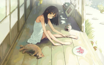 Картинка аниме животные +существа девочка тарелка арбуз книги лето рыжий котенок веранда