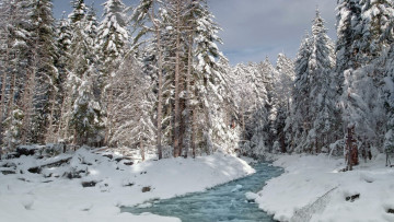 Картинка природа реки озера снег зима