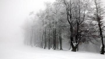 Картинка природа зима туман