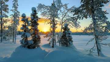 Картинка природа зима закат