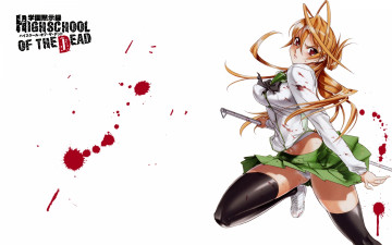 Картинка аниме highschool of the dead