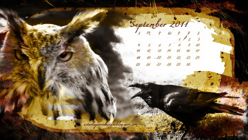 Картинка календари животные сова ворон