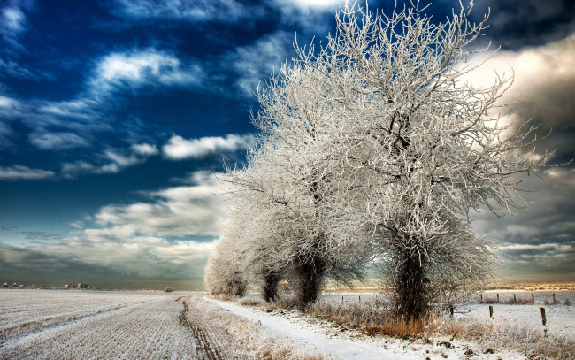 Обои картинки фото природа, зима, поле