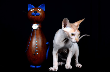 Картинка животные коты киса статуэтка kitty statuette