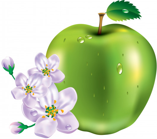 Обои картинки фото векторная графика, еда, яблоко, цветы