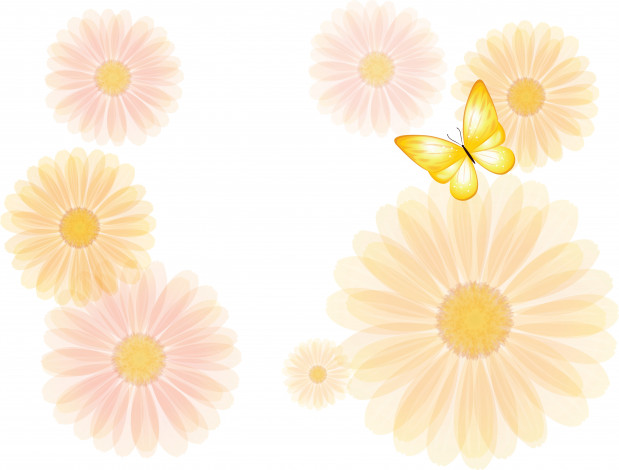 Обои картинки фото векторная графика, животные, цветы, бабочка