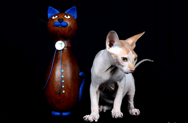 Обои картинки фото животные, коты, киса, статуэтка, kitty, statuette