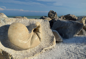 Картинка природа камни +минералы море берег