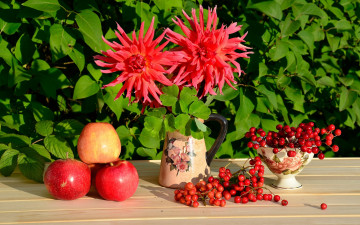 Картинка еда фрукты +ягоды яблоко красный натюрморт георгины калина