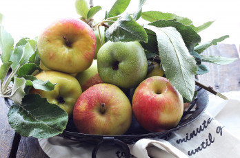 Картинка еда Яблоки плоды фрукты яблоки