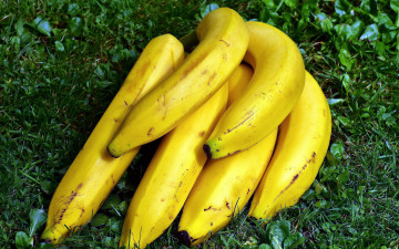 Картинка еда бананы гроздь зрелые трава