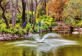 Картинка природа парк фонтан