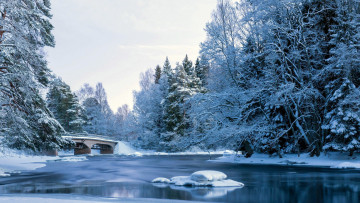 Картинка природа реки озера зима мост