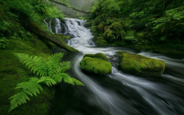 Картинка природа водопады мох камни река