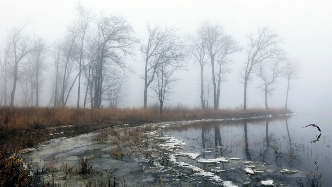 Обои картинки фото природа, другое, весна, туман