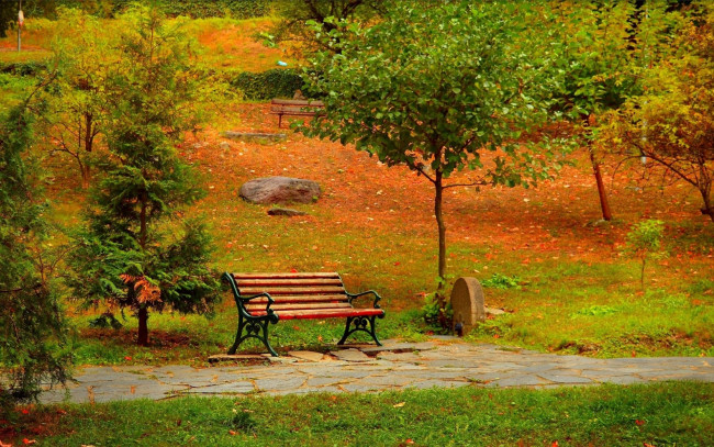 Обои картинки фото природа, парк, аллея, скамейка, осень