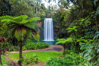 Картинка millaa+millaa+falls north+queensland australia природа водопады millaa falls north queensland