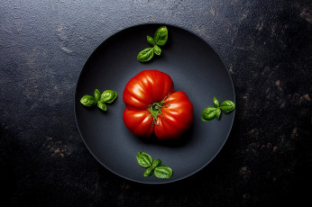 Картинка еда помидоры вкусное лакомство из него делают кетчупы соусы салаты добавляют в лечо ему применение многое а так просто заточить с солью и хлебом самое оно