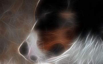 Картинка 3д графика animals животные собачка фрактал