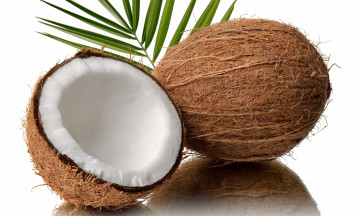 Картинка еда кокос экзотика фрукт
