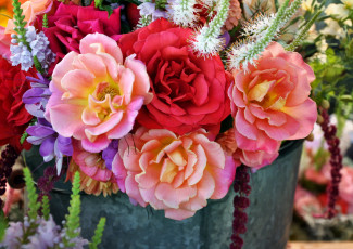 Картинка цветы букеты композиции клеома амарант розы физостегия