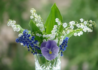 Картинка цветы разные вместе ландыши гиацинт фиалка