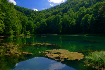 Картинка hungary janoshalma природа реки озера лес озеро