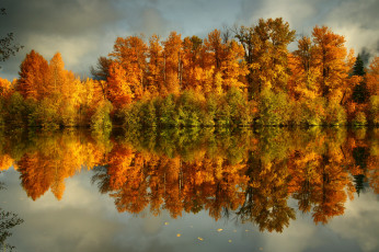 Картинка природа реки озера река осень лес