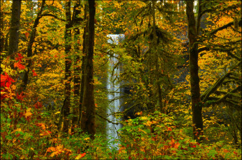 обоя природа, водопады, водопад, лес