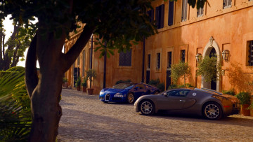 Картинка bugatti veyron автомобили выставки уличные фото automobiles s a франция суперкары