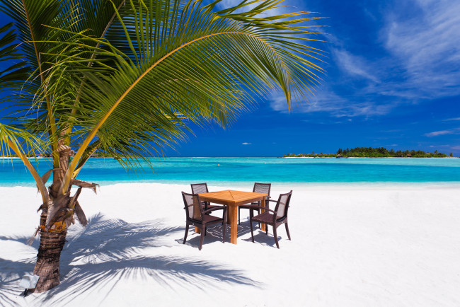 Обои картинки фото природа, тропики, небо, пальма, море, пляж, стулья, стол