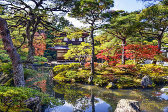 Картинка природа парк сад кусты река беседка японский деревья