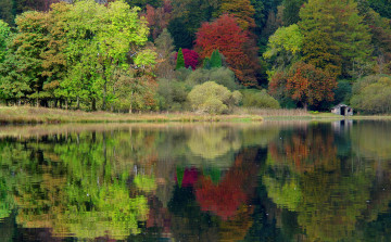 Картинка природа реки озера united kingdom англия великобритания caeciliametella photography озеро осень лес деревья grasmere england