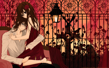Картинка аниме vampire+knight cilou yuuki cross kuran kaname девушка мужчина кресло фонарь решетка розы крест ворон птицы надгробие занавески
