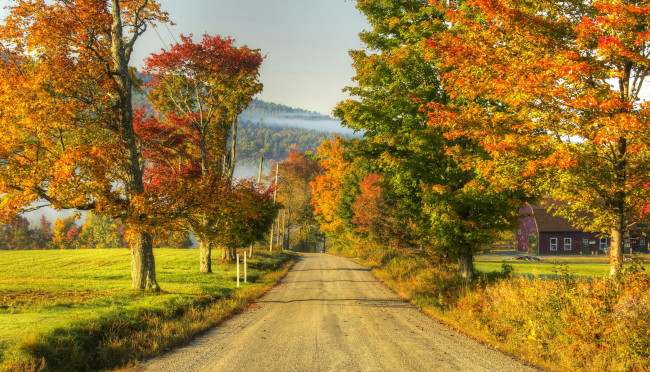 Обои картинки фото природа, дороги, трава, деревья, дорога, осень