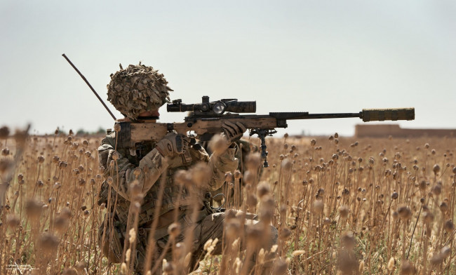 Обои картинки фото оружие, армия, спецназ, винтовка, снайперская, поле, экипировка, снайпер, оптика