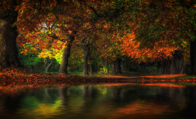 Обои картинки фото природа, реки, озера, осень, лес, река, краски
