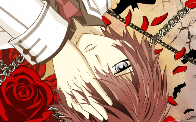 Обои картинки фото аниме, vampire knight, shiki, senri, мужчина, рука, розы, цепь, летучая, мышь, лепестки, трещины