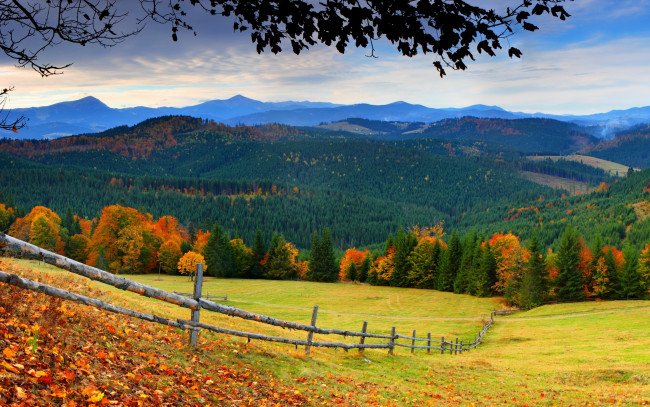 Обои картинки фото природа, поля, листья, осень, деревья, дорога, лес, горы, трава, небо