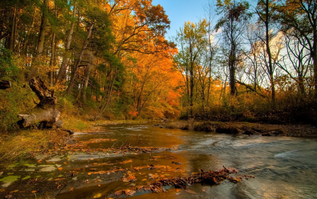 Обои картинки фото природа, реки, озера, река, осень, лес