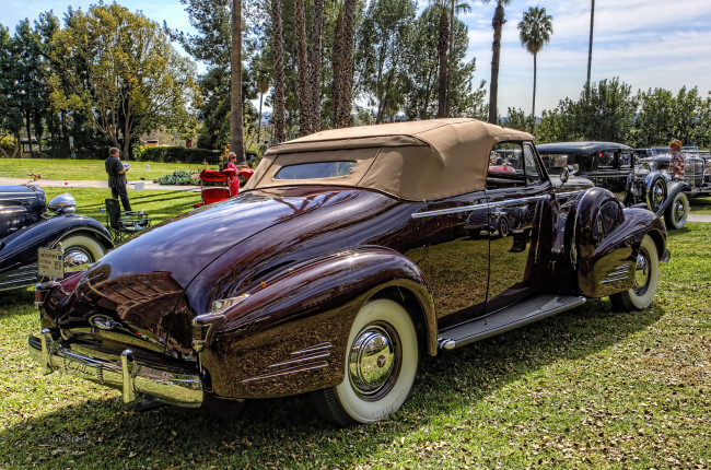 Обои картинки фото 1938 cadillac v-16 fleetwood convertible coupe, автомобили, выставки и уличные фото, автошоу, выставка