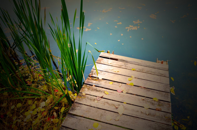 Обои картинки фото на мостике, природа, вода, пруд, осень, мостик