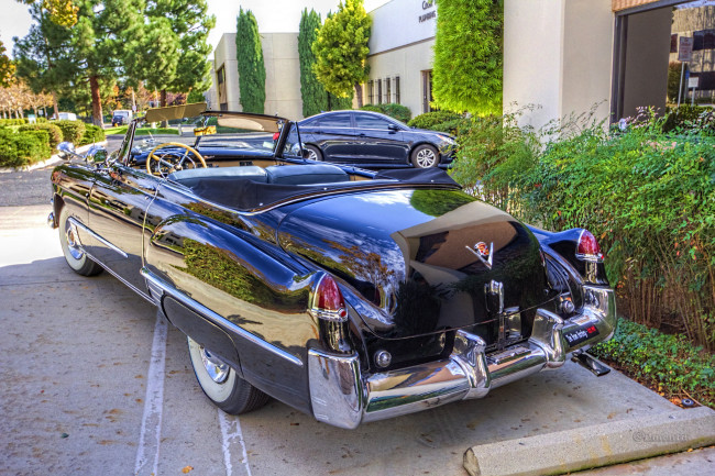 Обои картинки фото 1949 cadillac convertible, автомобили, выставки и уличные фото, автошоу, выставка