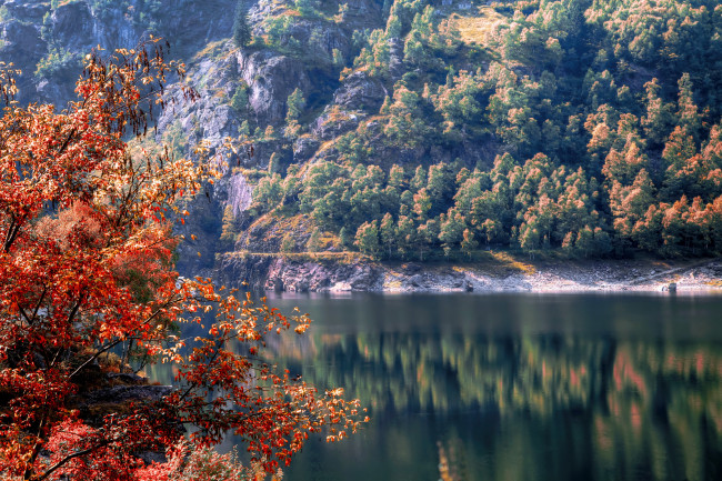 Обои картинки фото природа, реки, озера, деревья, осень, лес, река, италия