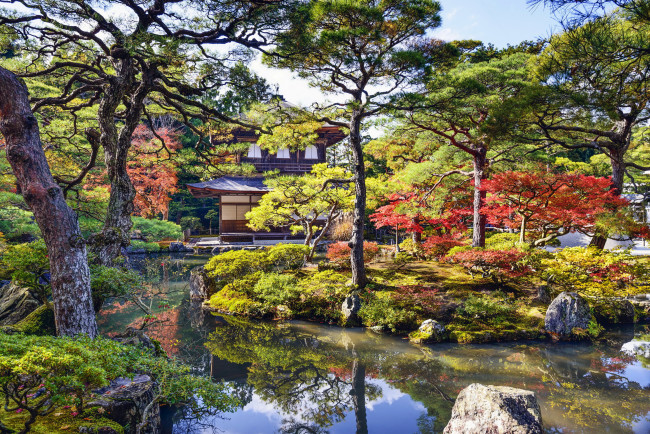 Обои картинки фото природа, парк, сад, кусты, река, беседка, японский, деревья