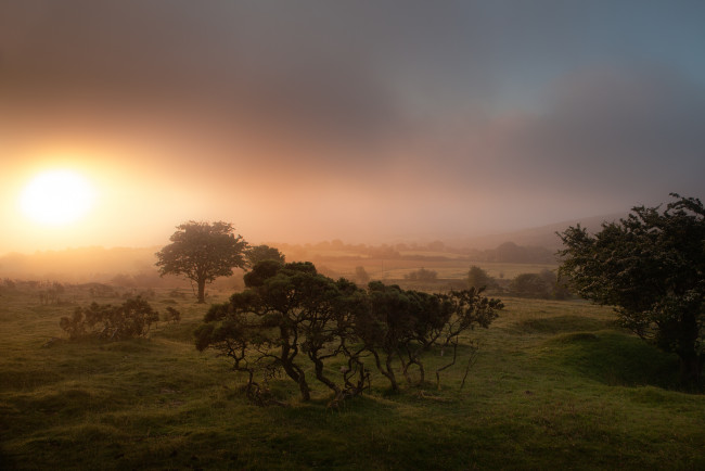 Обои картинки фото природа, восходы, закаты, англия, корнуолл, восход, туман