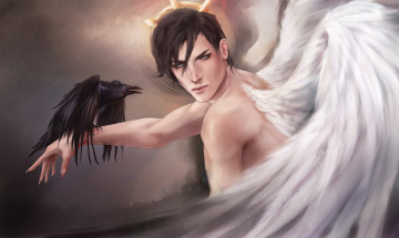Картинка фэнтези ангелы арт птица взгляд ворон рука ангел крылья парень